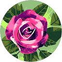 Monae Baltese` profile picture