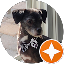 Ipo V profile picture