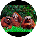 Aaron Last profile picture