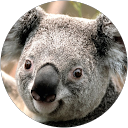 Richie Wolf profile picture