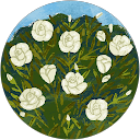 Asia Stevens profile picture