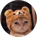 Google profile picture of elichu t0rr3z